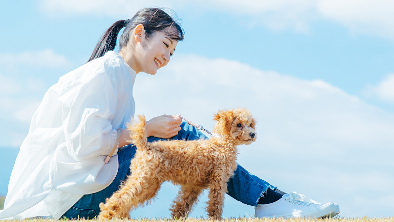 AdobeStock_484069844 3