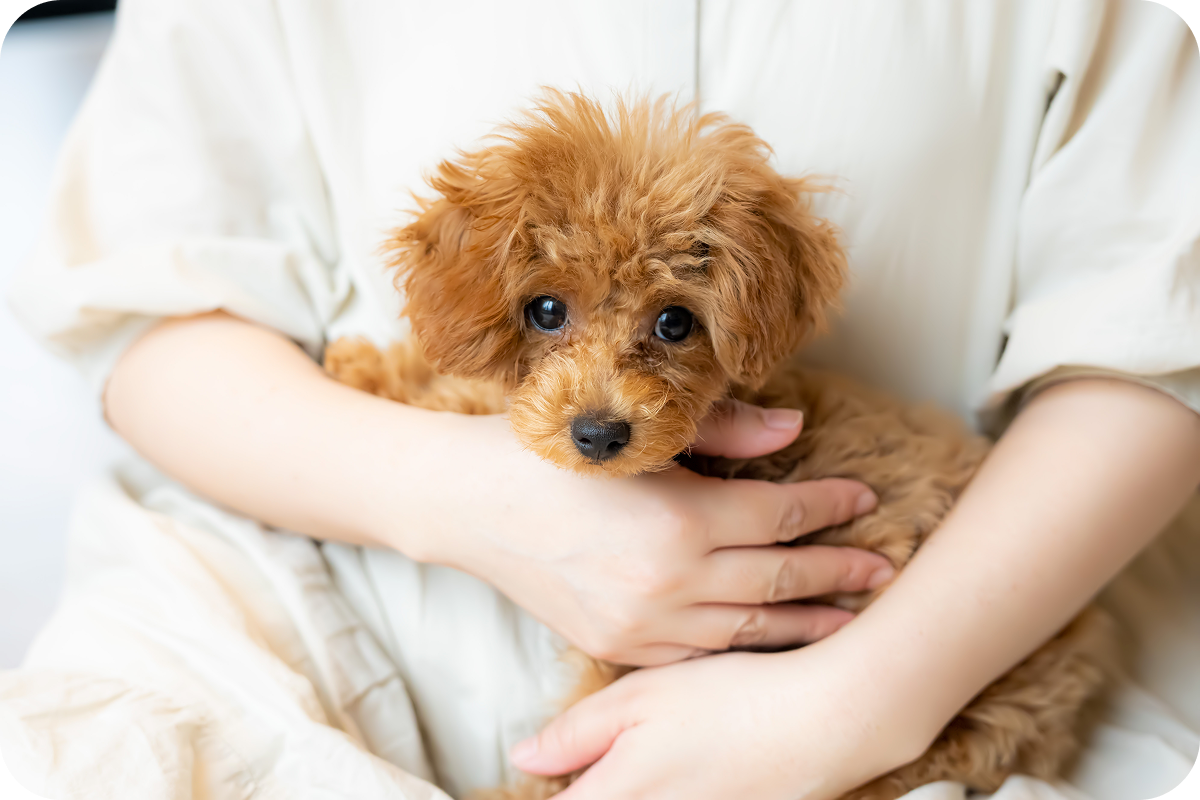 AdobeStock_529070776 1