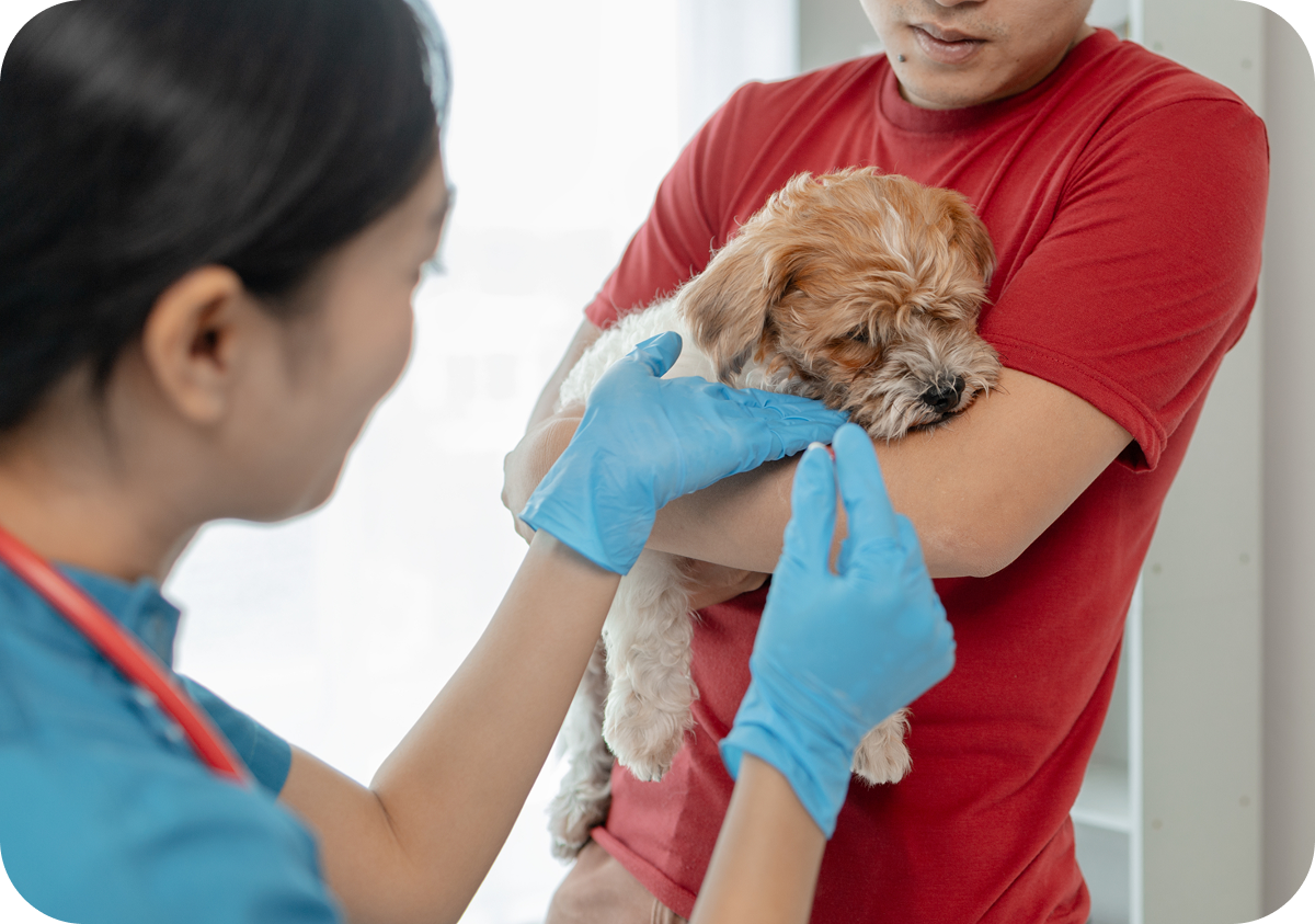 AdobeStock_684021479 2