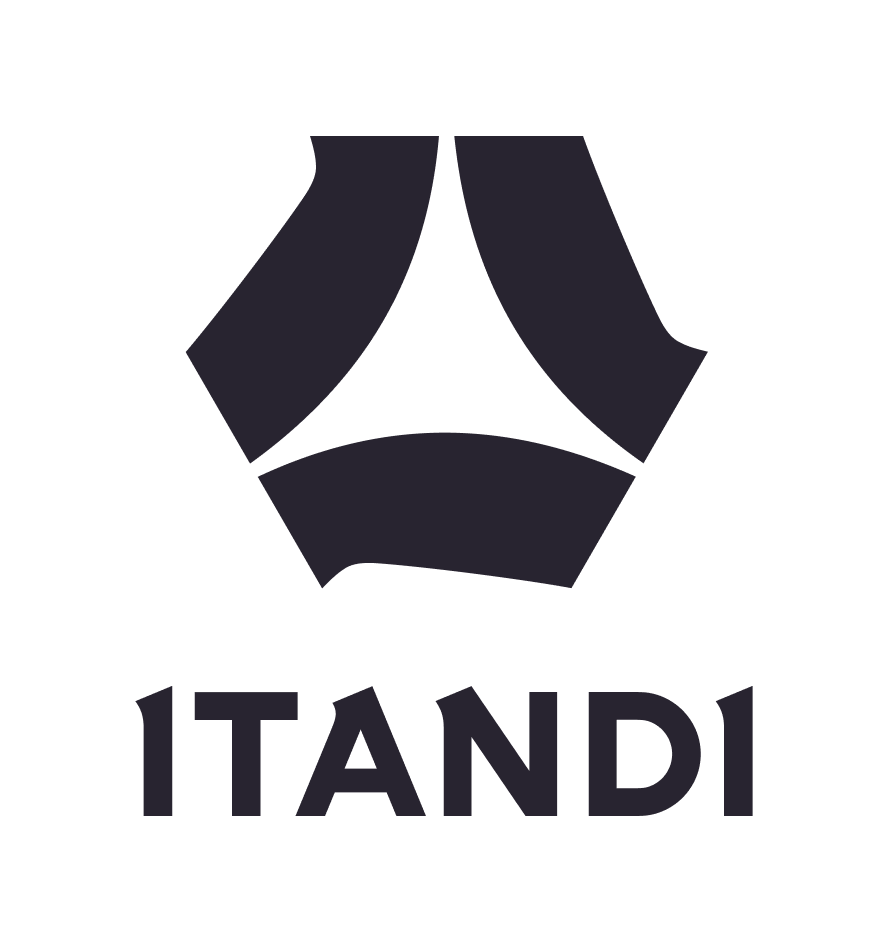 logo-vertical-itandi