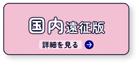 国内遠征版