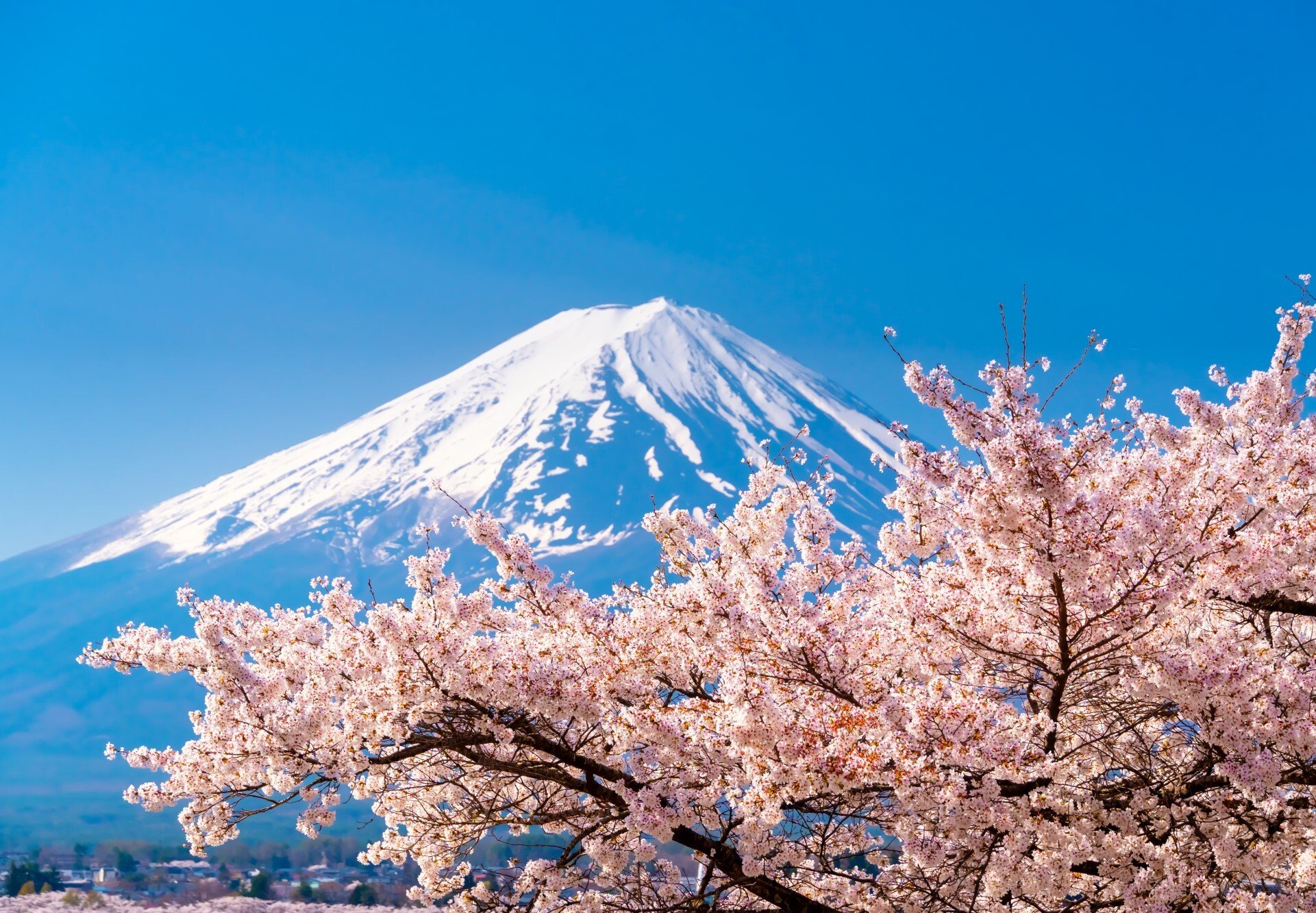 AdobeStock_1198434959